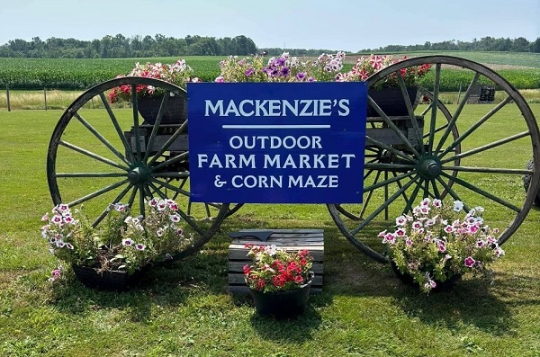 MacKenzie’s Outdoor Farm Market and Corn Maze