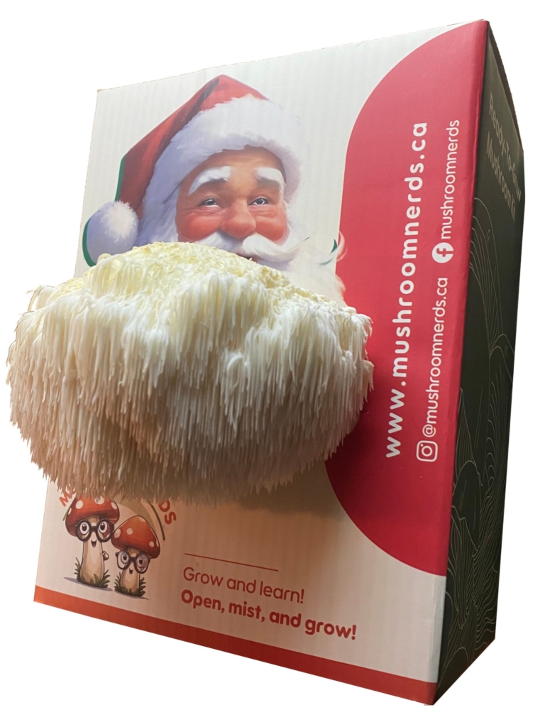 Mushroom Nerds Lion's Mane Mushroom kit